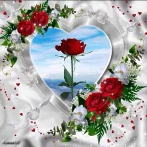 Meet your Posher, Pamela